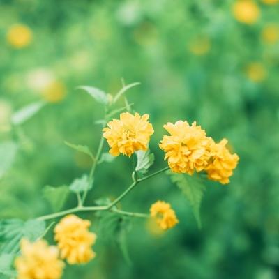 枪神对决旧版本下载